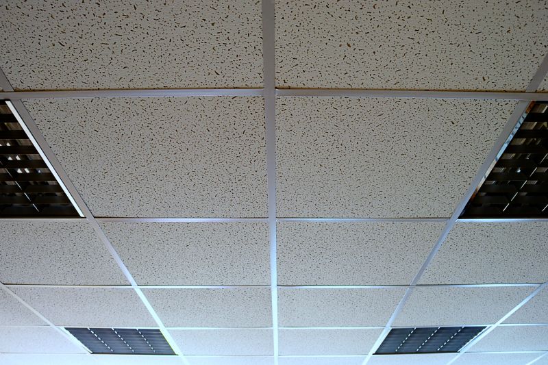 Suspended Ceiling Panels