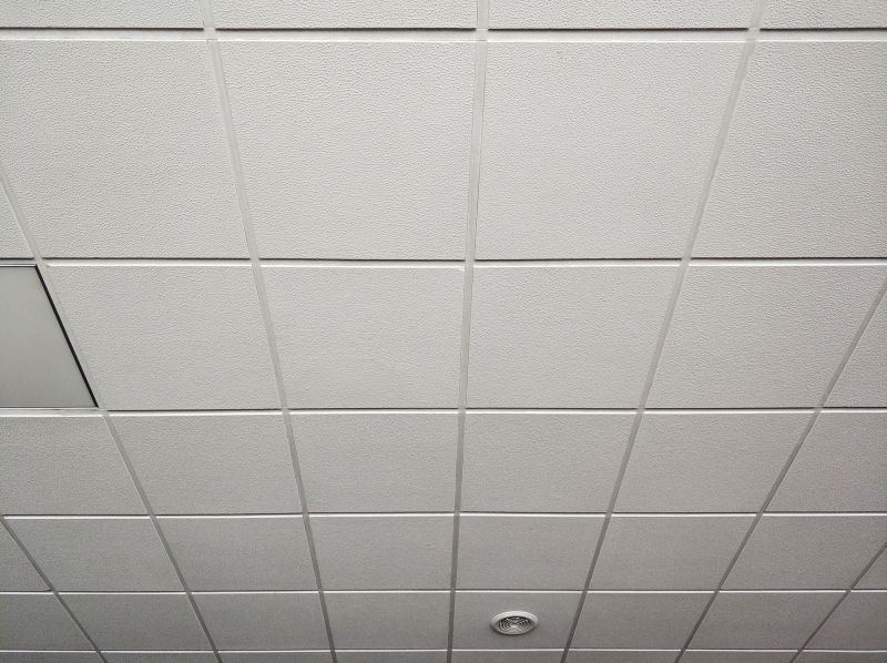 Grid Ceiling Repair in Longmont, CO