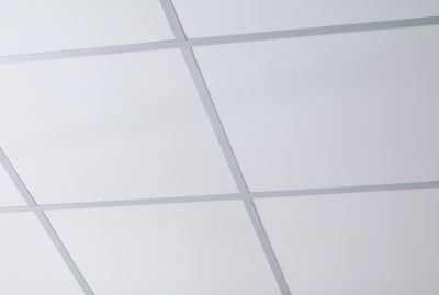 Licensed Ceiling Contractors